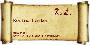 Kosina Lantos névjegykártya